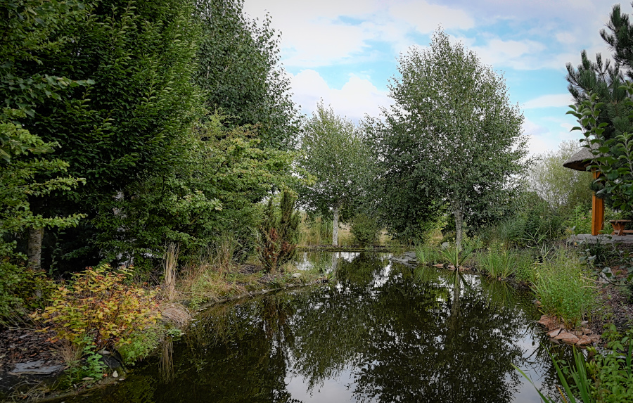 DSC_5134.jpg