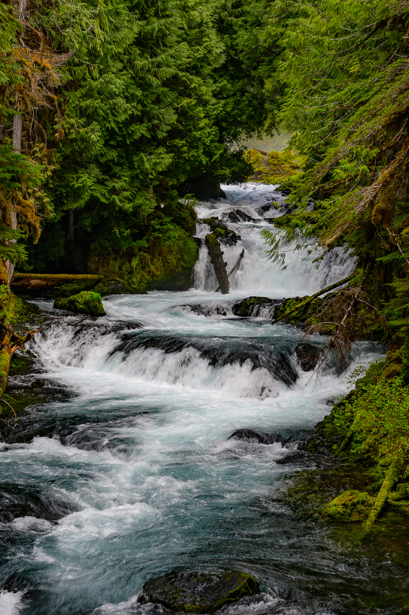 DSC_5141.jpg