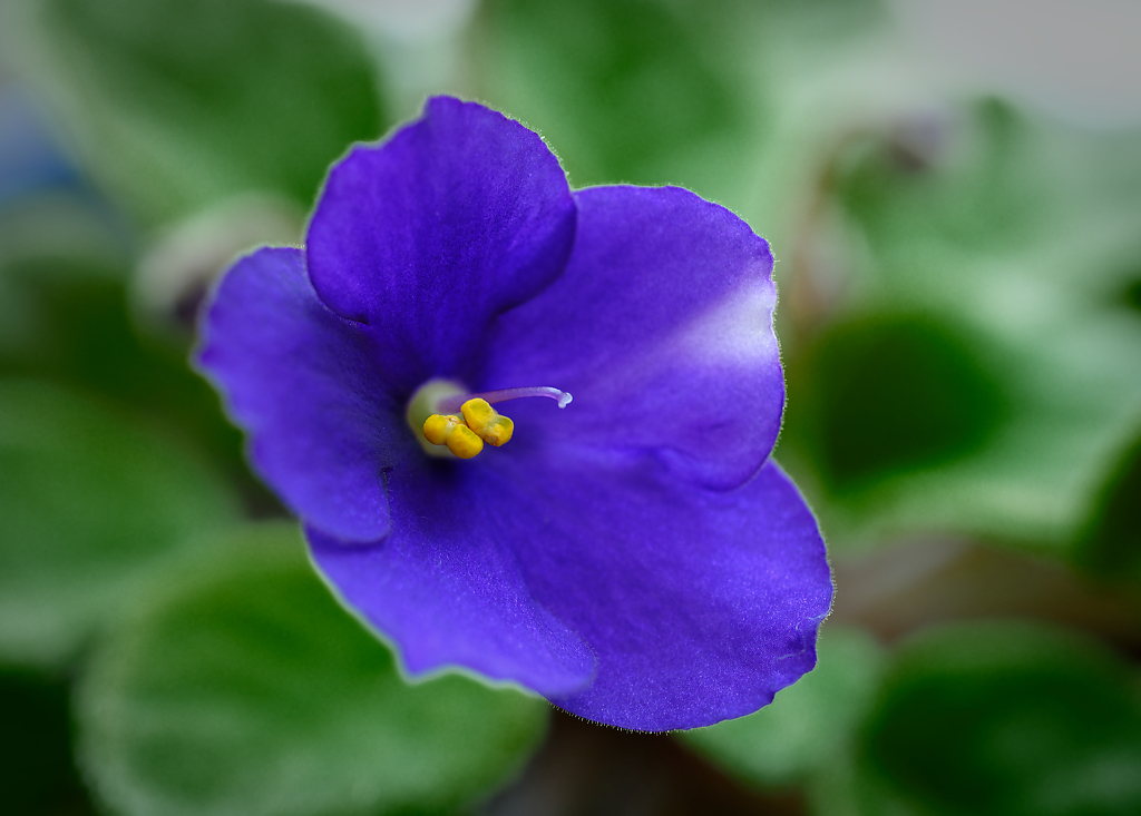 DSC_5141_DxO.jpg