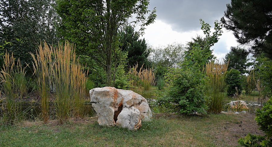 DSC_5147.JPG