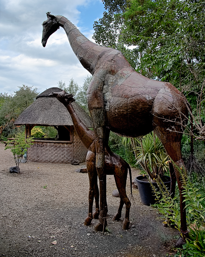 DSC_5150.jpg