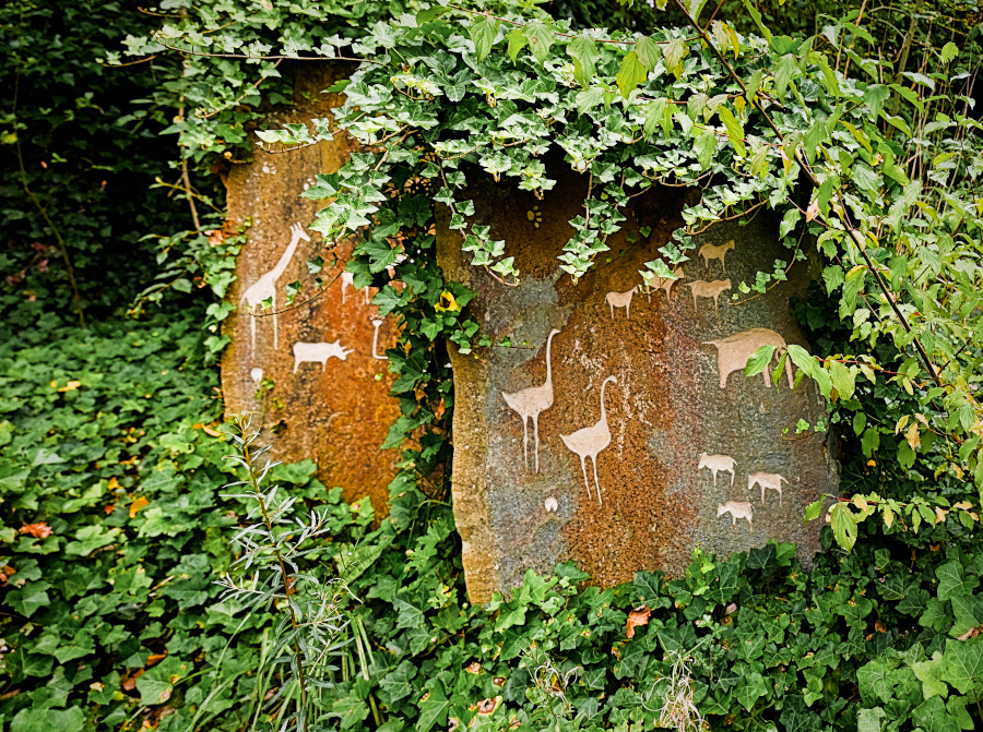 DSC_5153.jpg