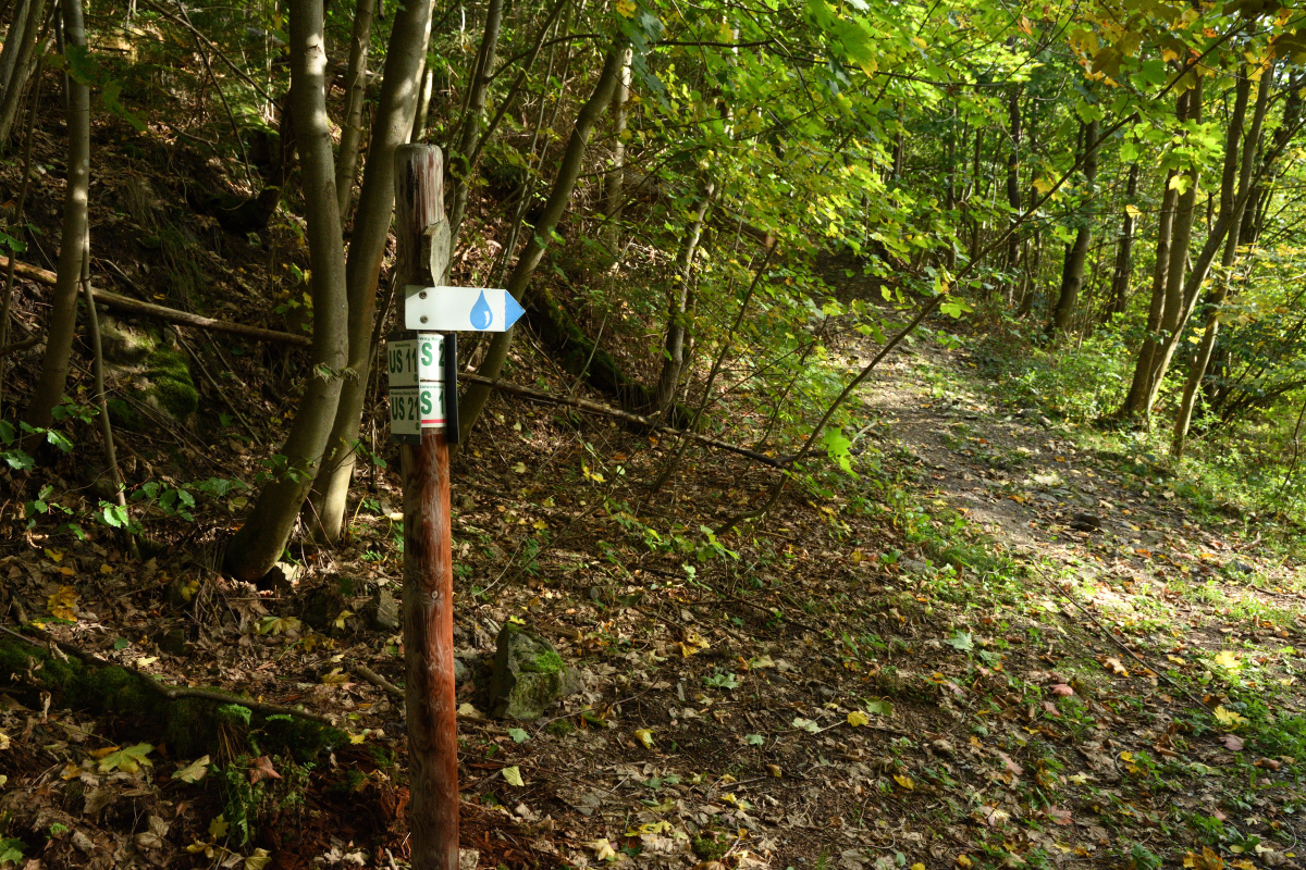 DSC_5153.JPG