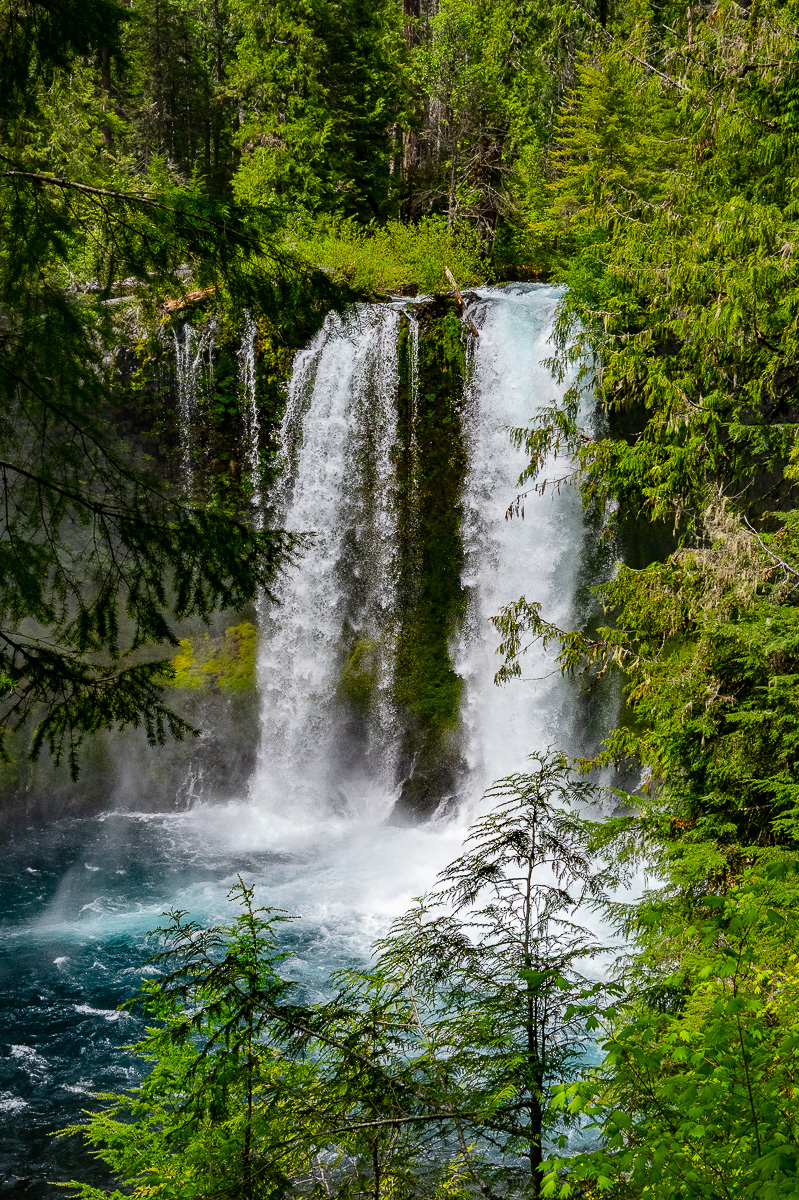 DSC_5154.jpg