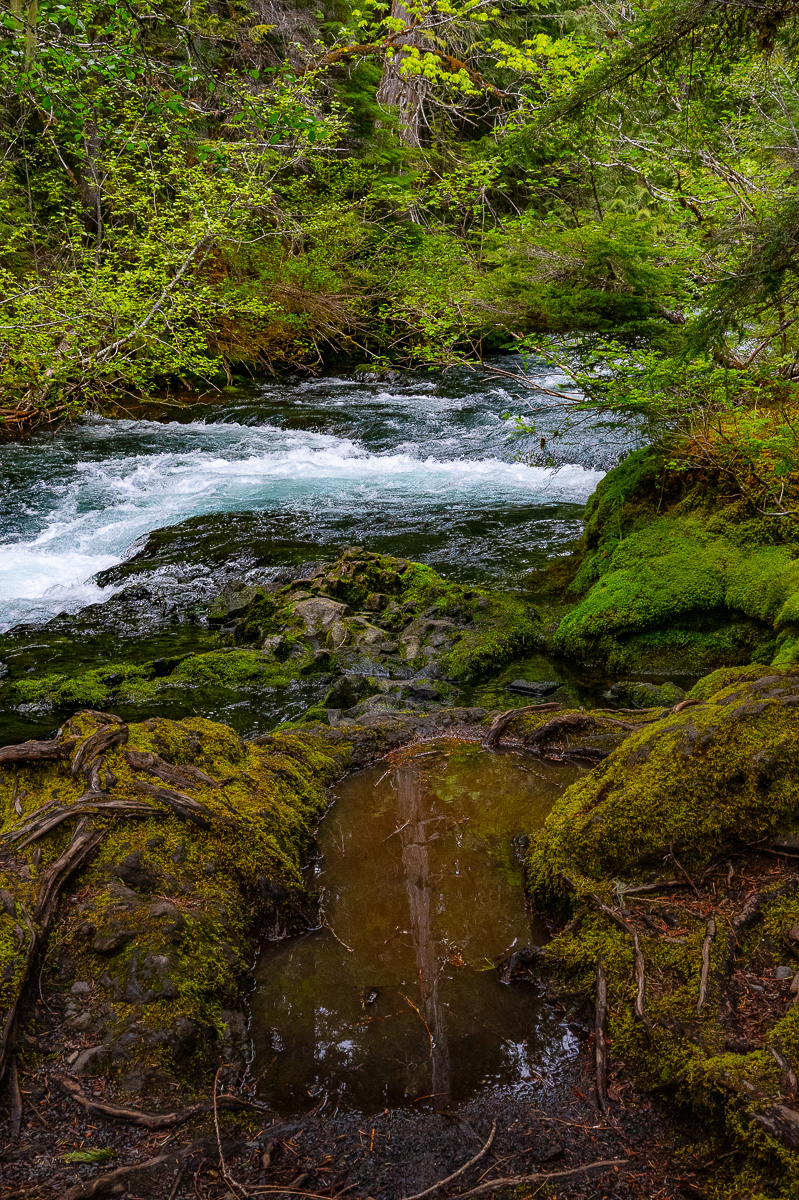 DSC_5162.jpg