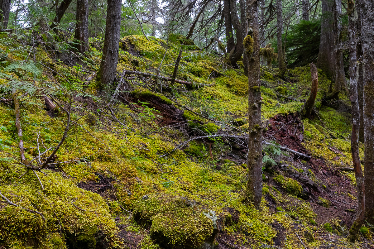 DSC_5163.jpg
