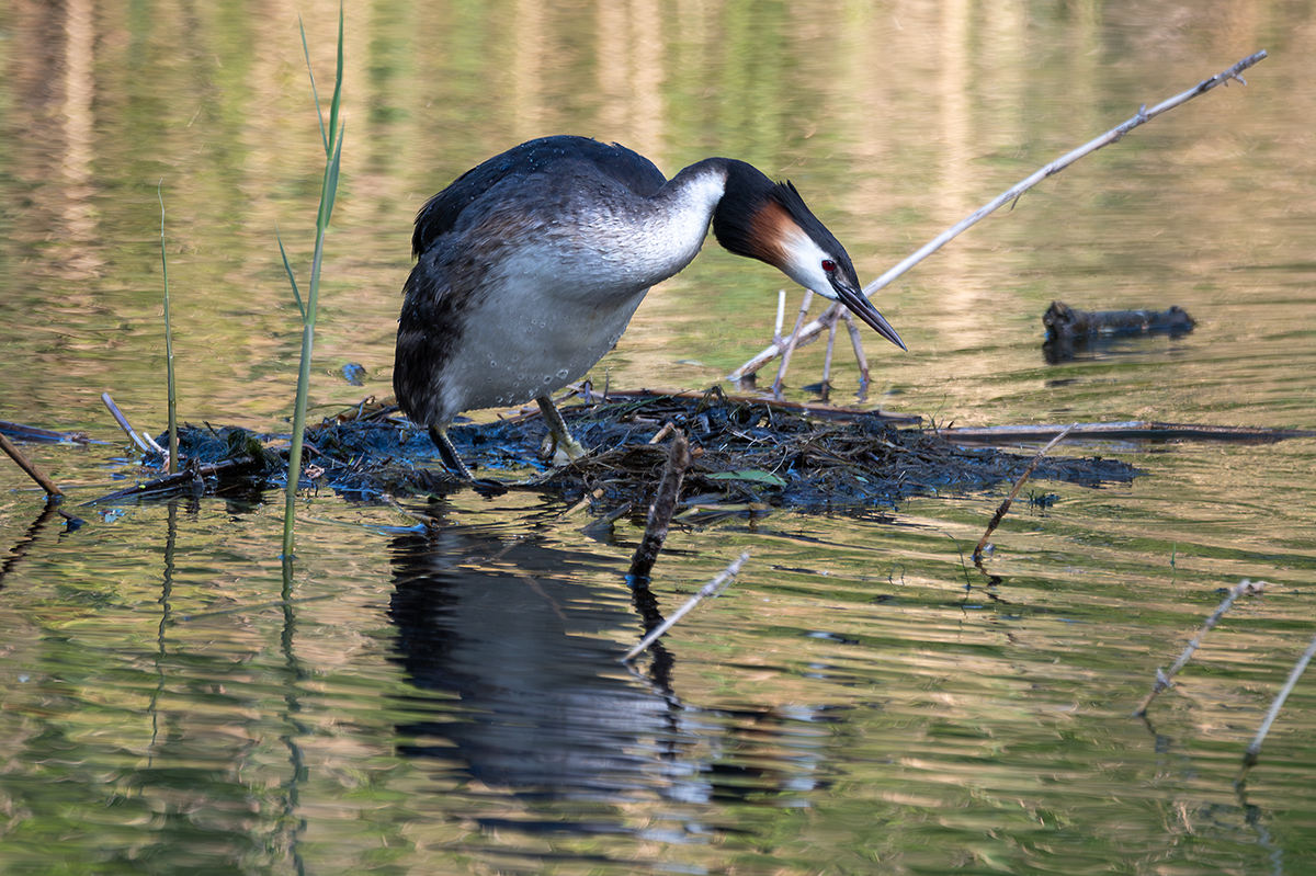 DSC_5164.jpg