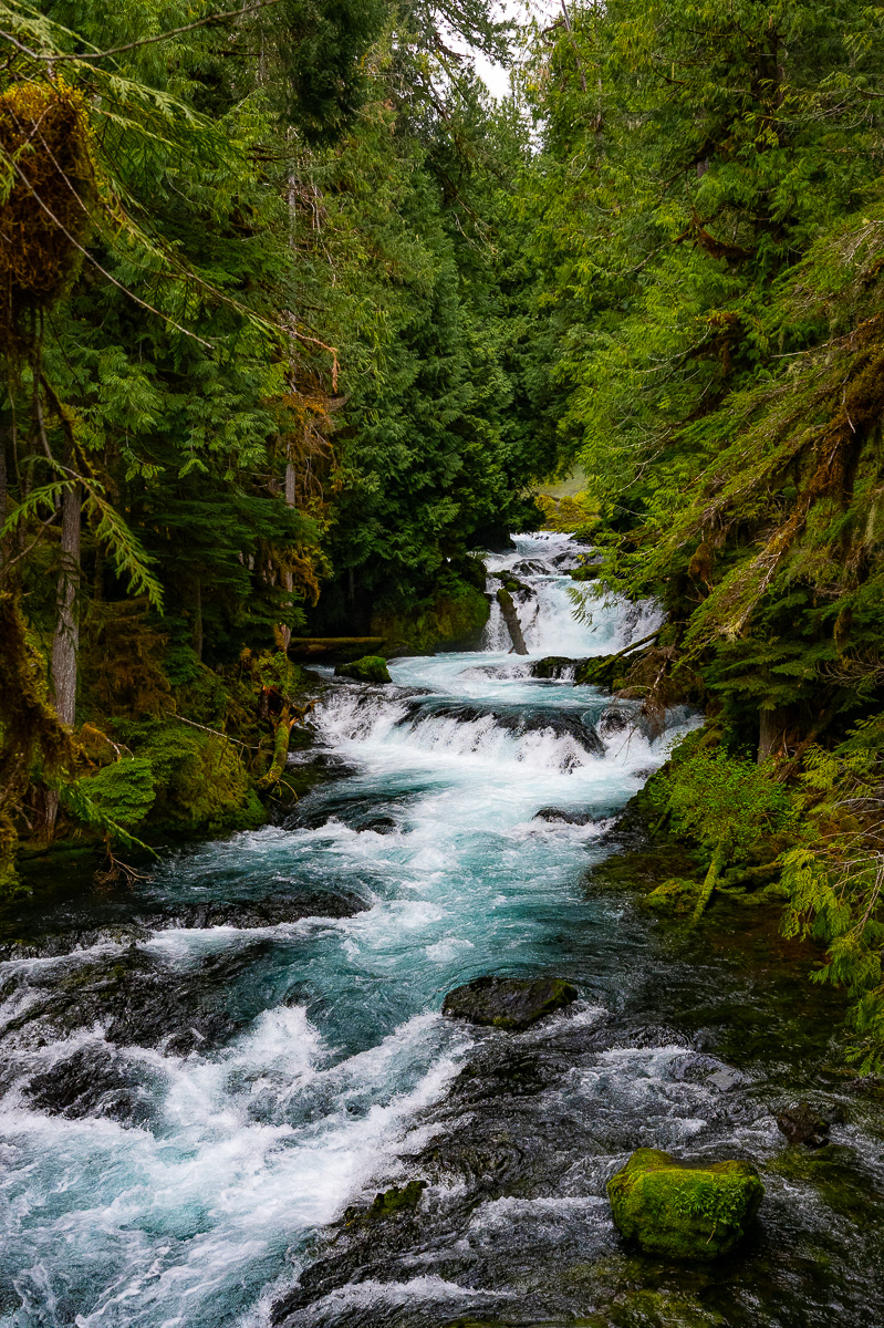 DSC_5164.jpg