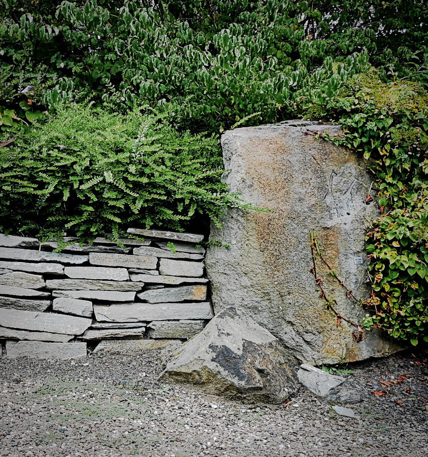 DSC_5167_layer_copy.jpg