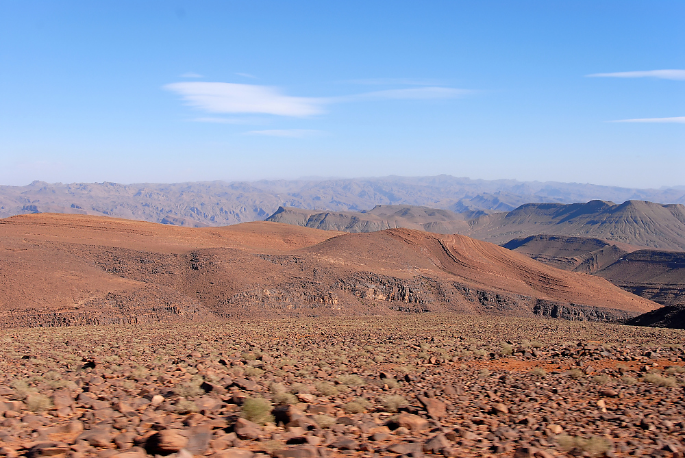 DSC_5169.jpg