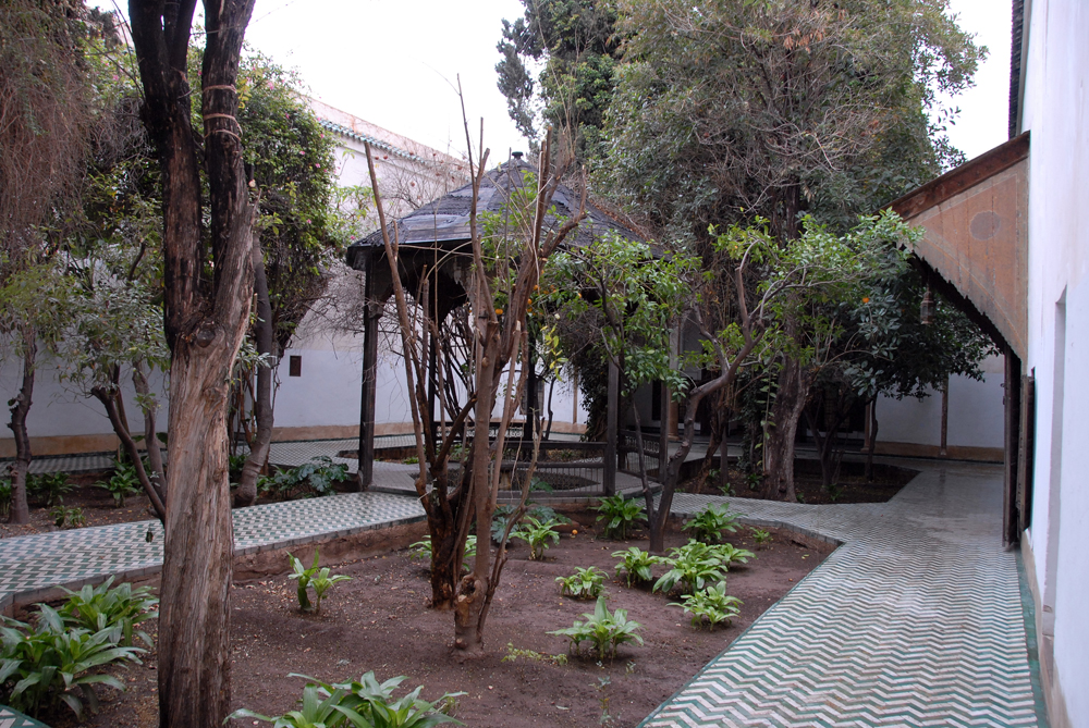 DSC_5183.jpg