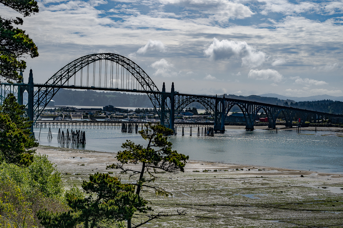 DSC_5198.jpg