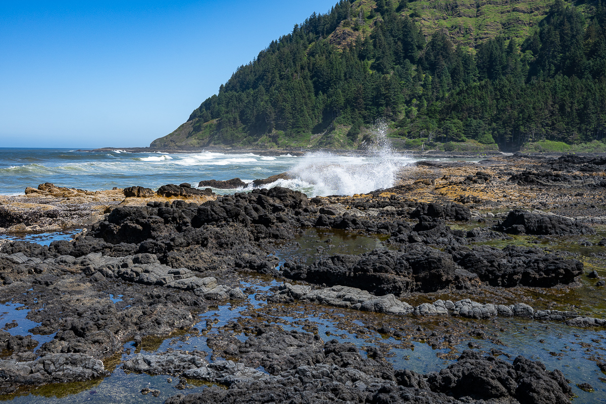 DSC_5203.jpg