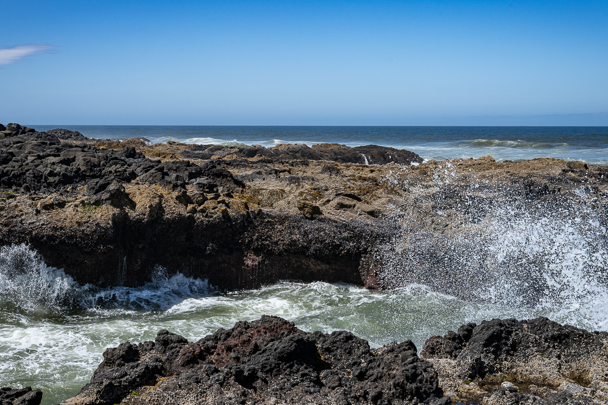 DSC_5204.jpg