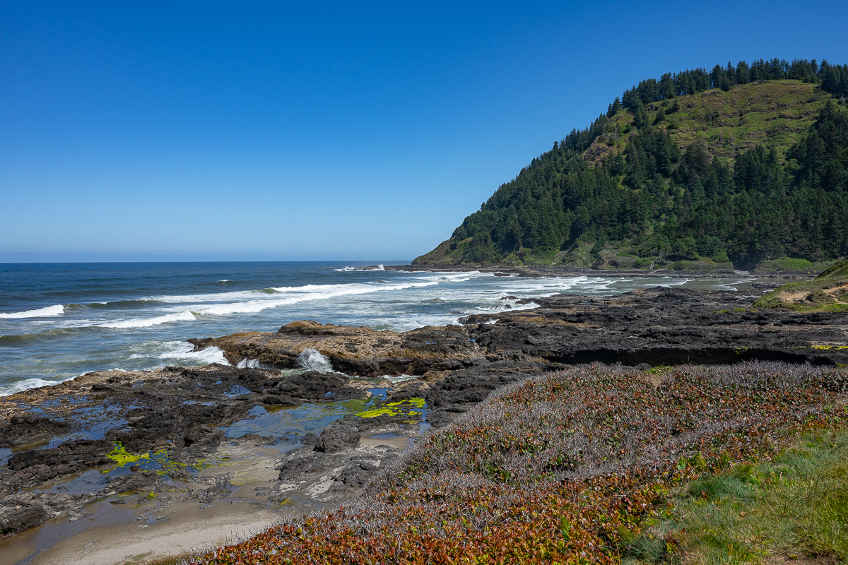DSC_5230.jpg