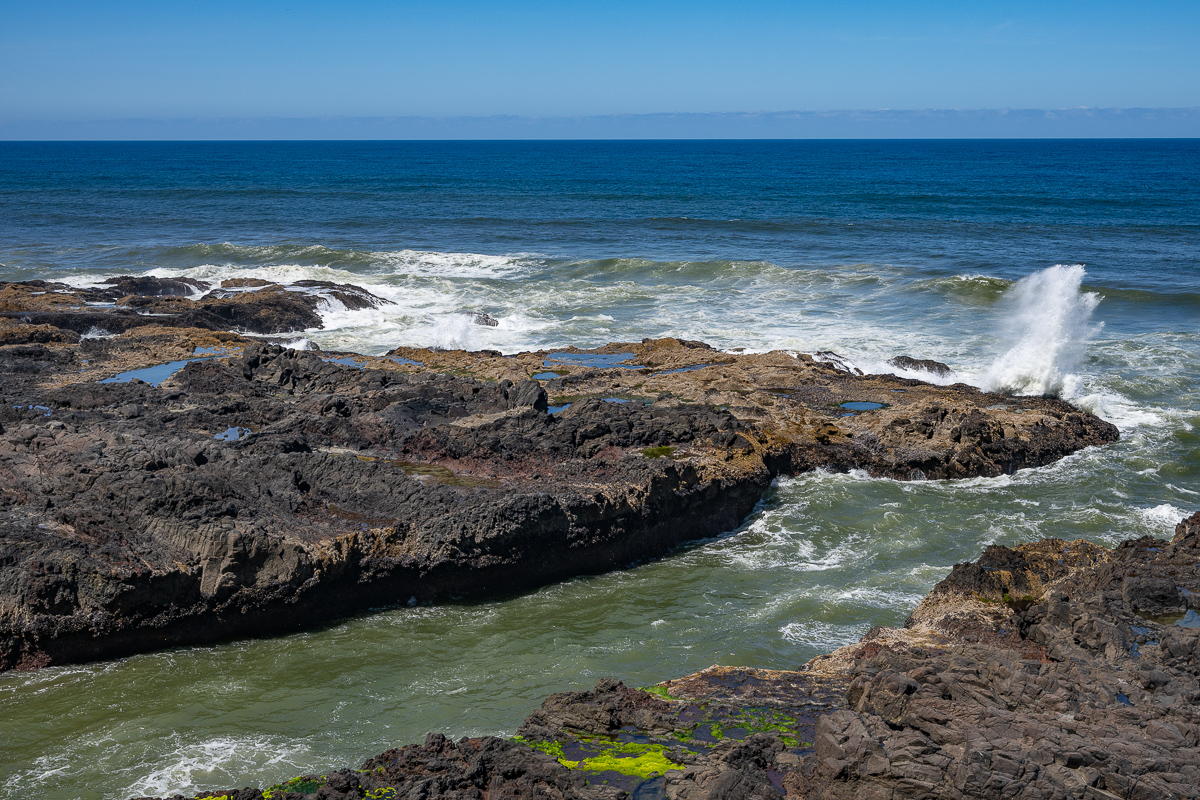 DSC_5239.jpg