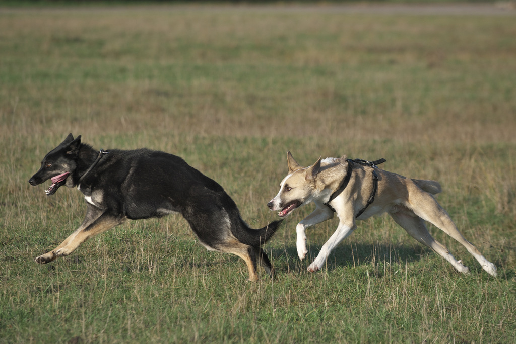 DSC_5247.jpg