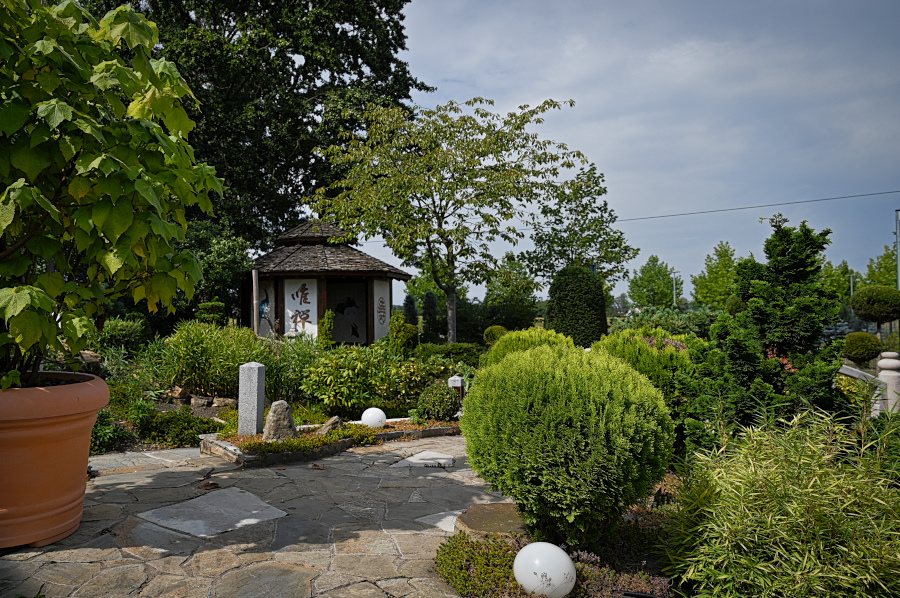DSC_5256.jpg