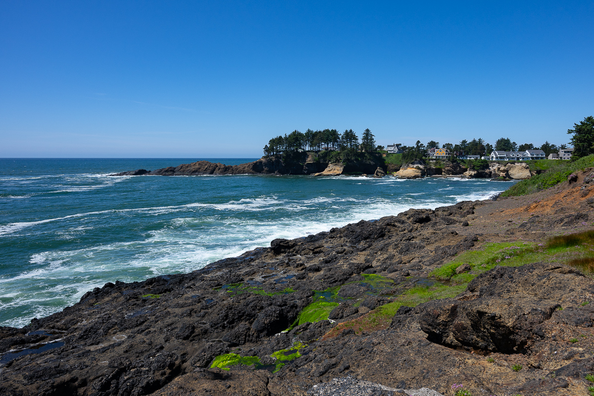 DSC_5258.jpg