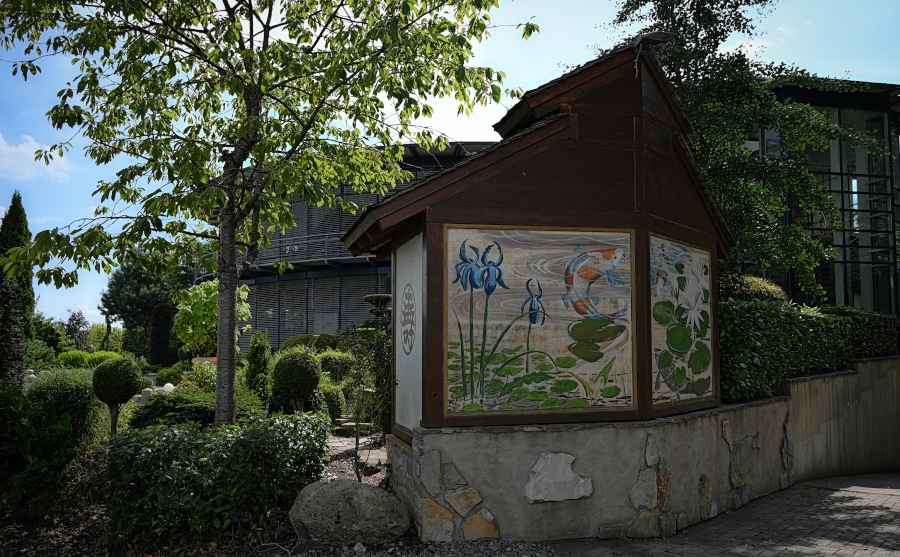 DSC_5267.jpg