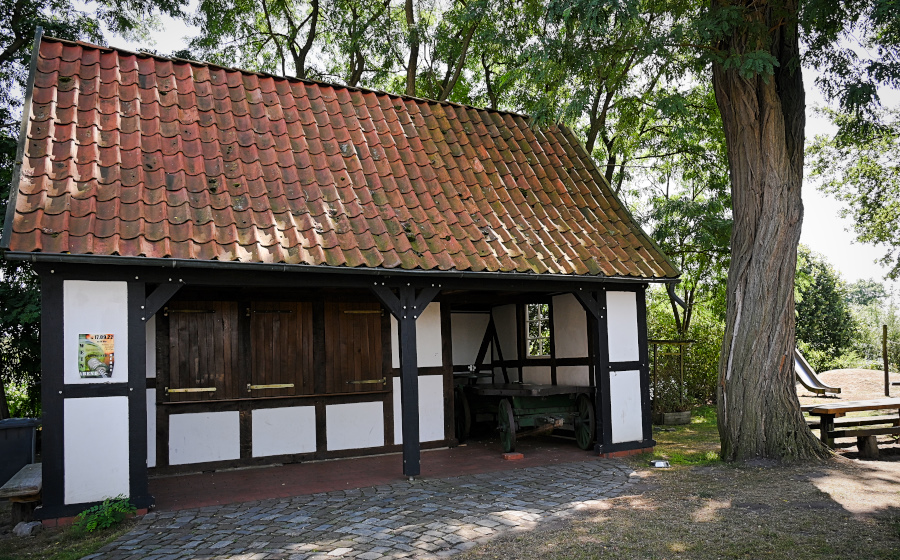 DSC_5290.jpg