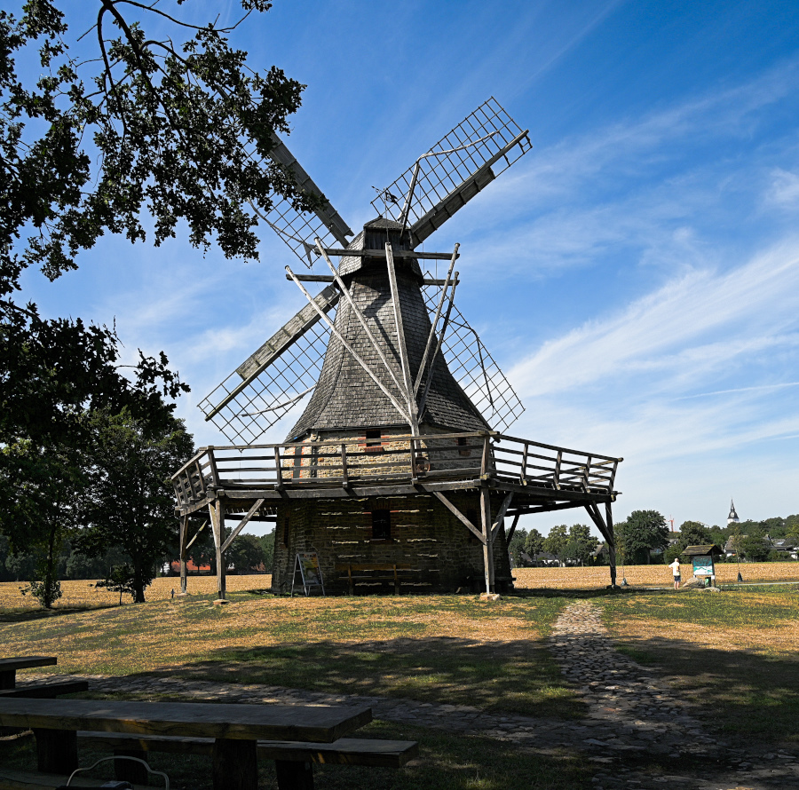 DSC_5292.jpg
