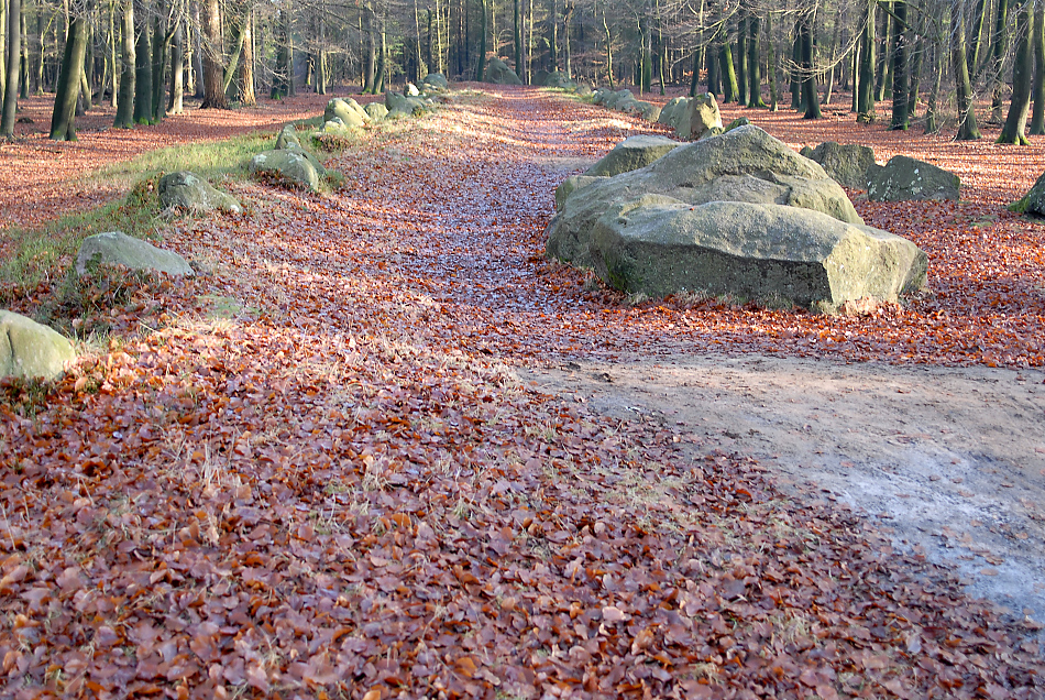 DSC_5306.jpg