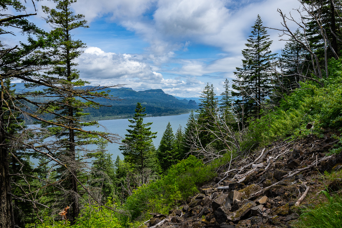 DSC_5307.jpg