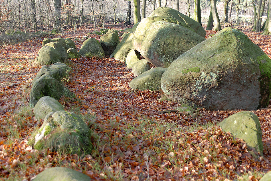 DSC_5309.jpg