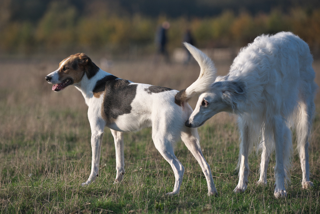 DSC_5311.jpg