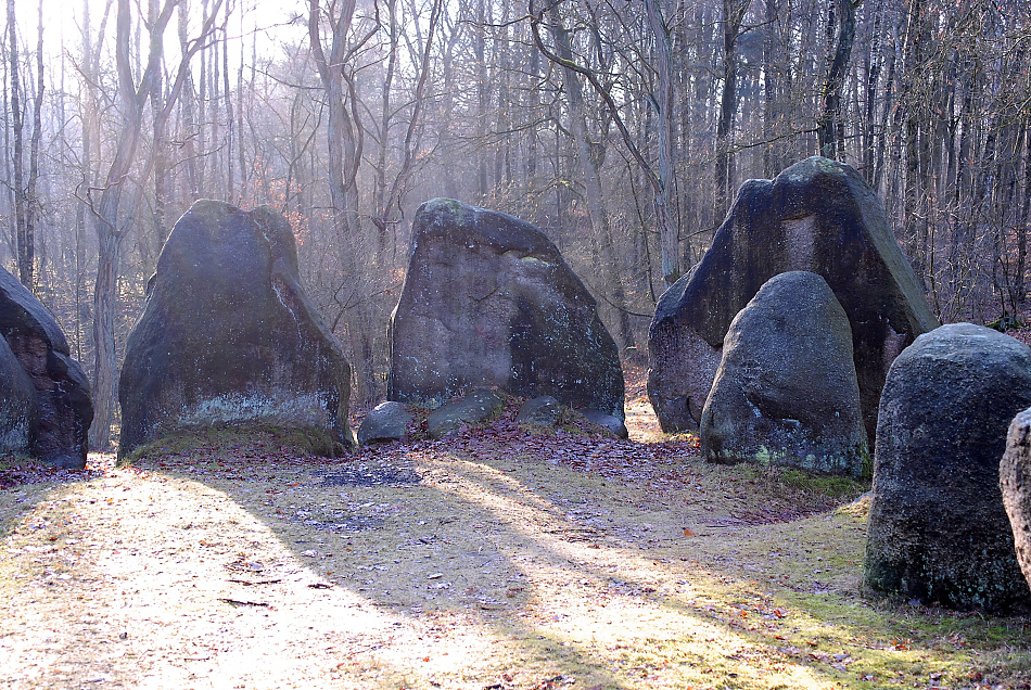 DSC_5318.jpg