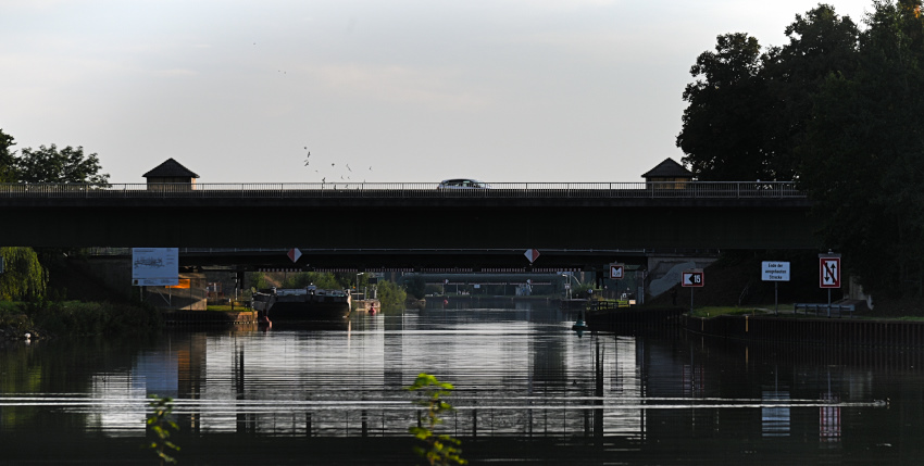 DSC_5323.jpg
