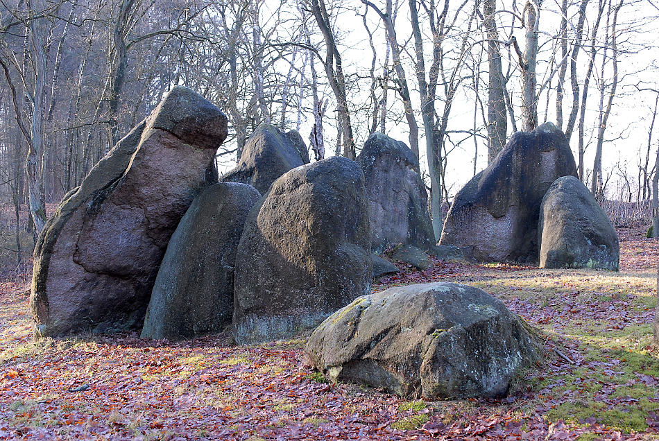 DSC_5323.jpg