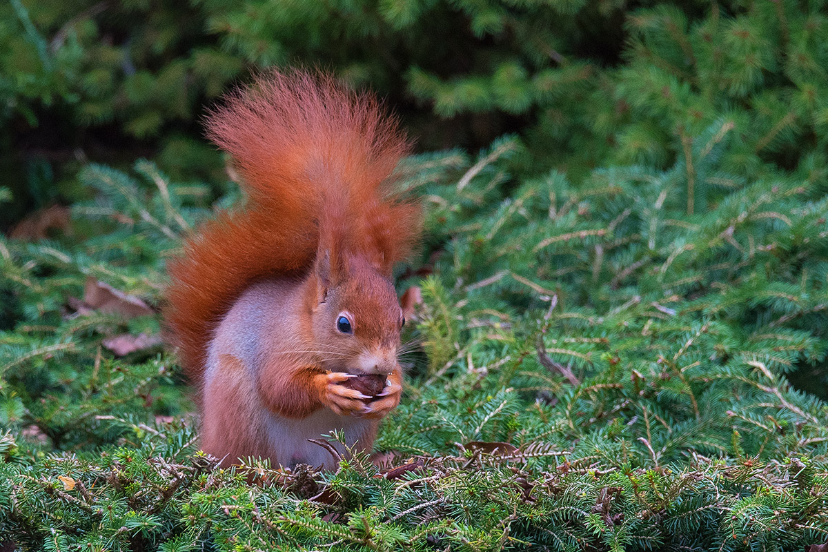 DSC_5324_sm.jpg