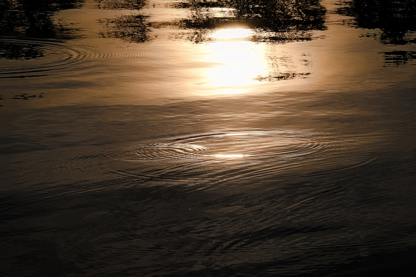 DSC_5330.jpg