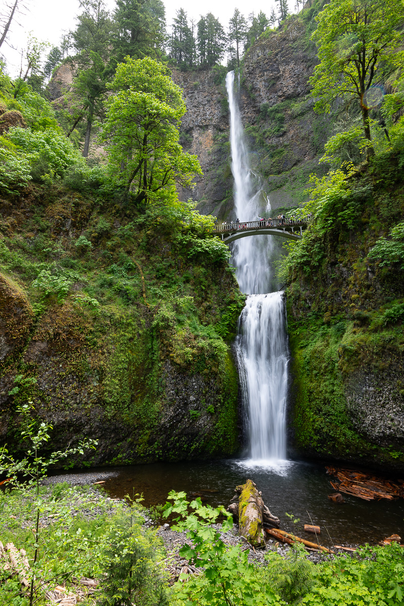DSC_5333.jpg