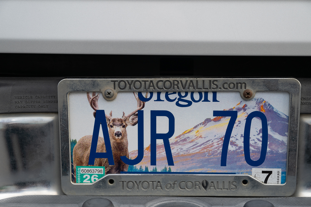 DSC_5338.jpg