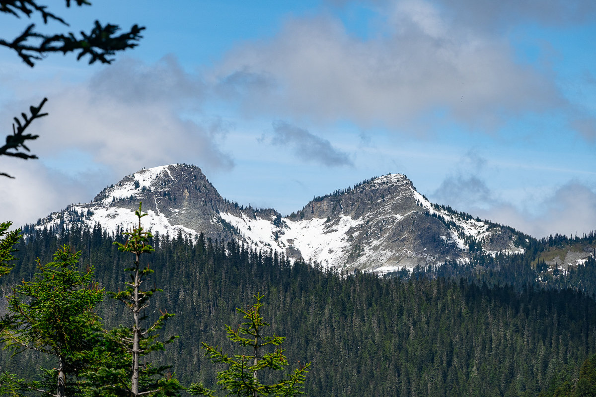 DSC_5347.jpg