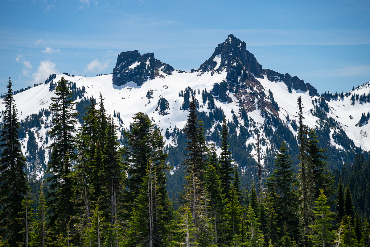 DSC_5371.jpg