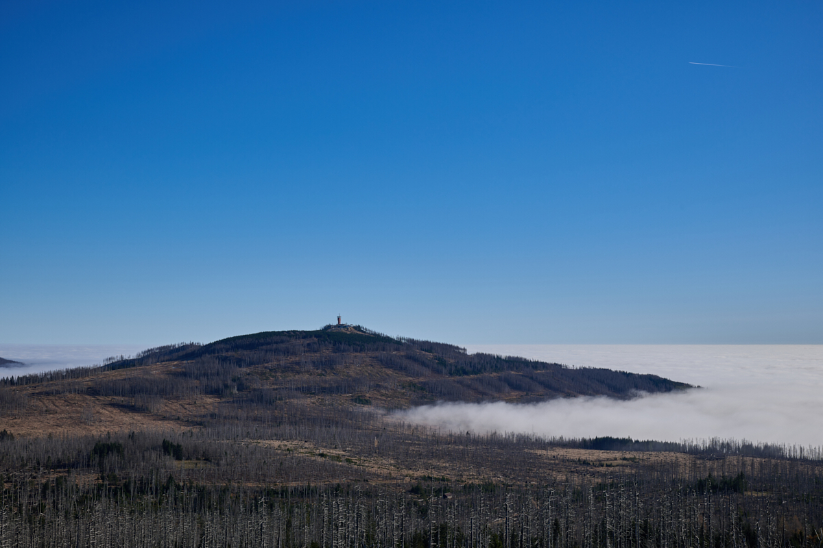 DSC_5374 1 1.jpg