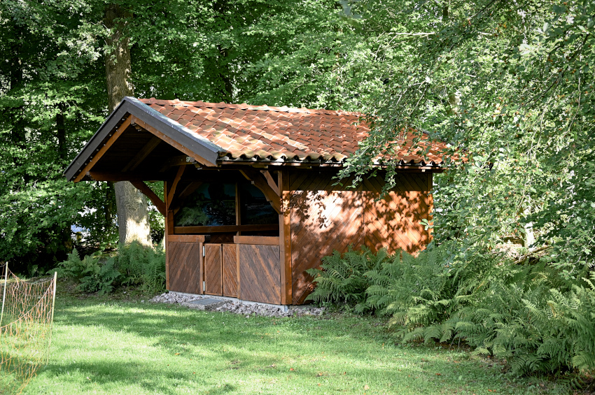 DSC_5374.jpg