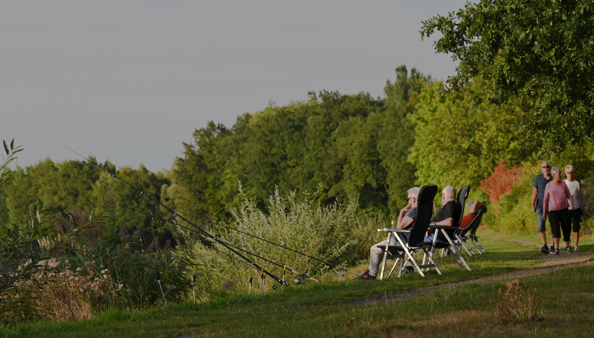 DSC_5389.jpg