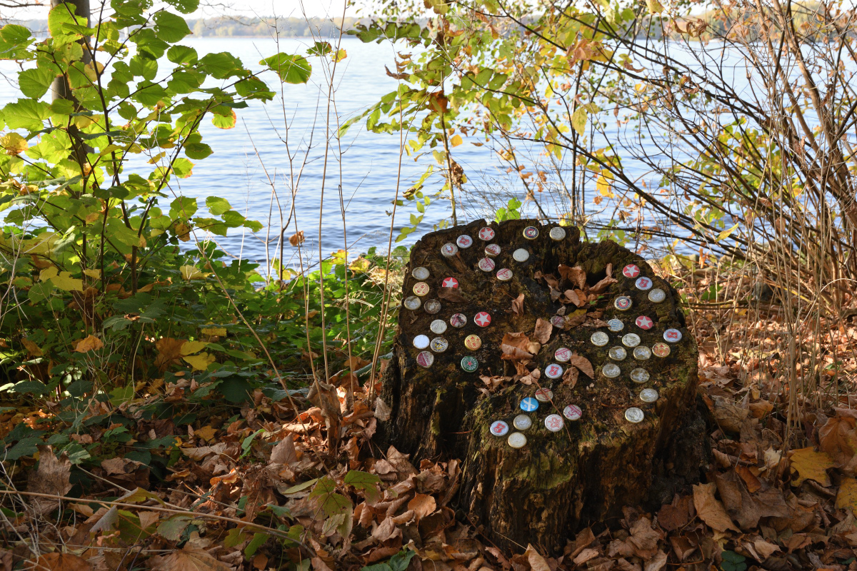 DSC_5409.JPG