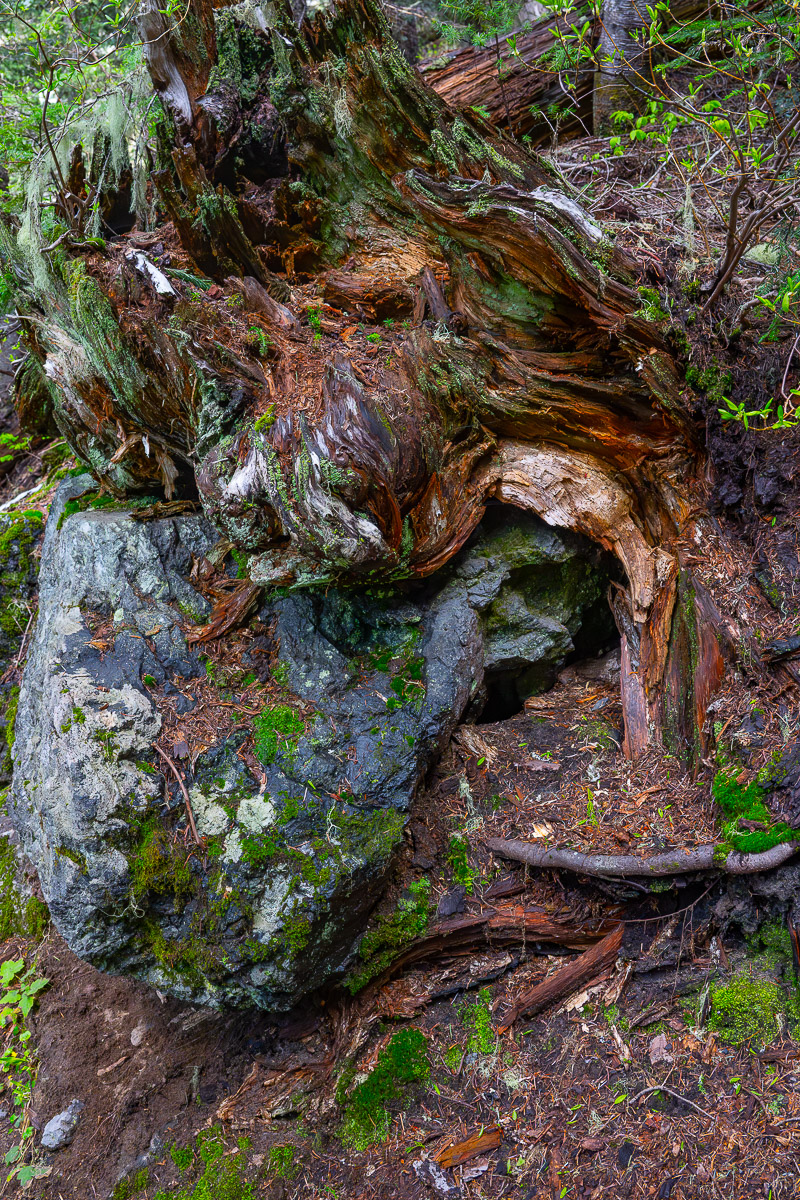 DSC_5410.jpg