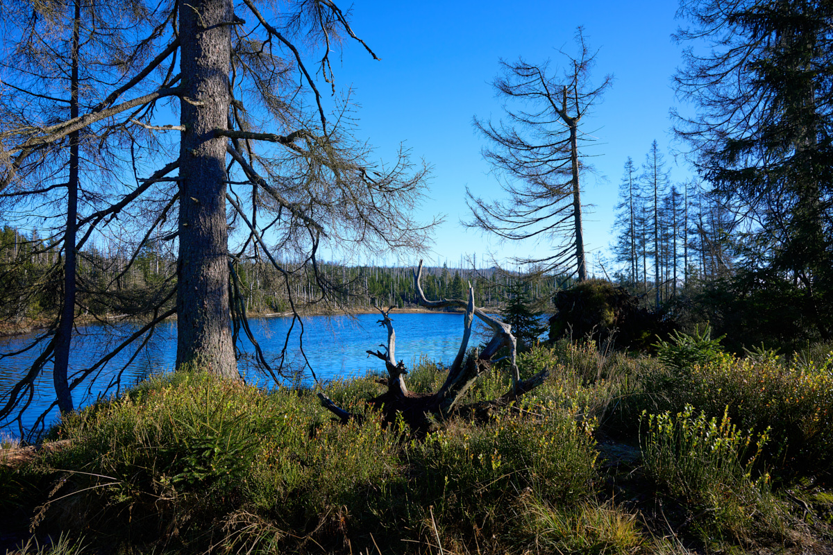 DSC_5415.jpg