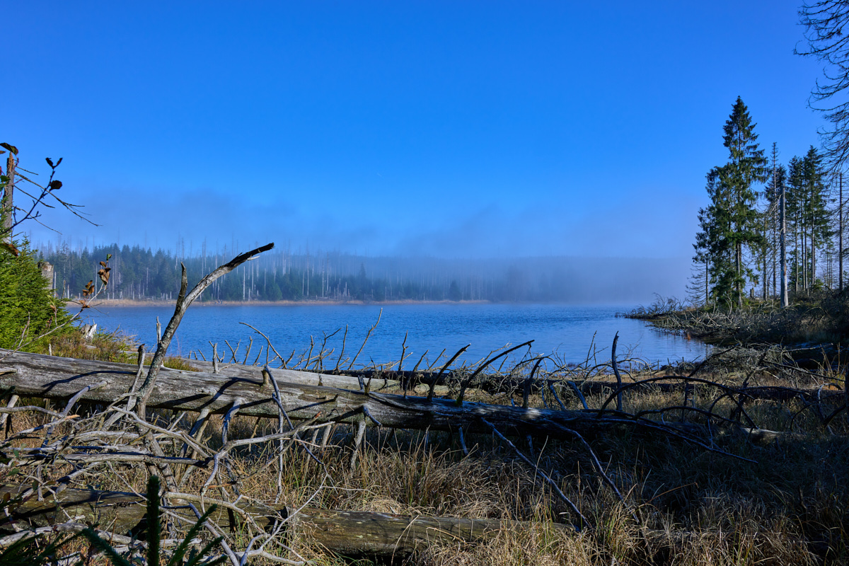 DSC_5416.jpg