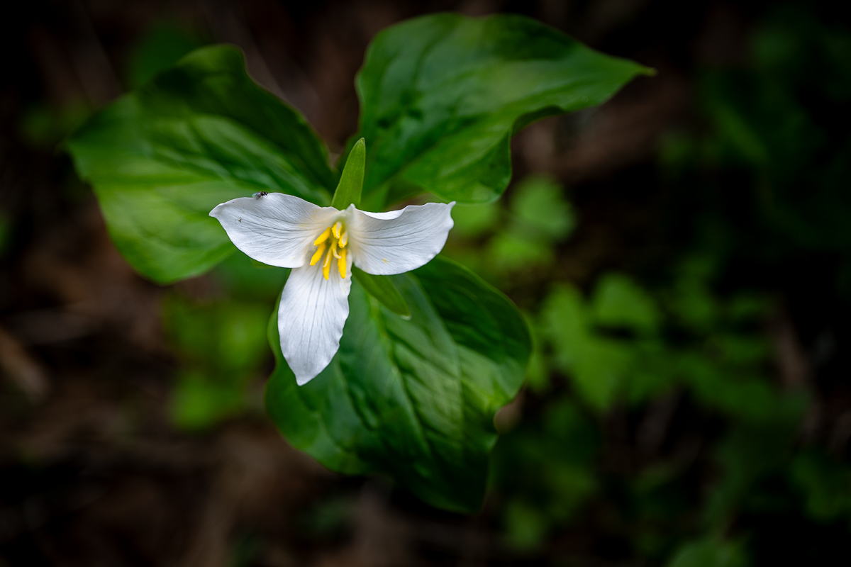 DSC_5430.jpg