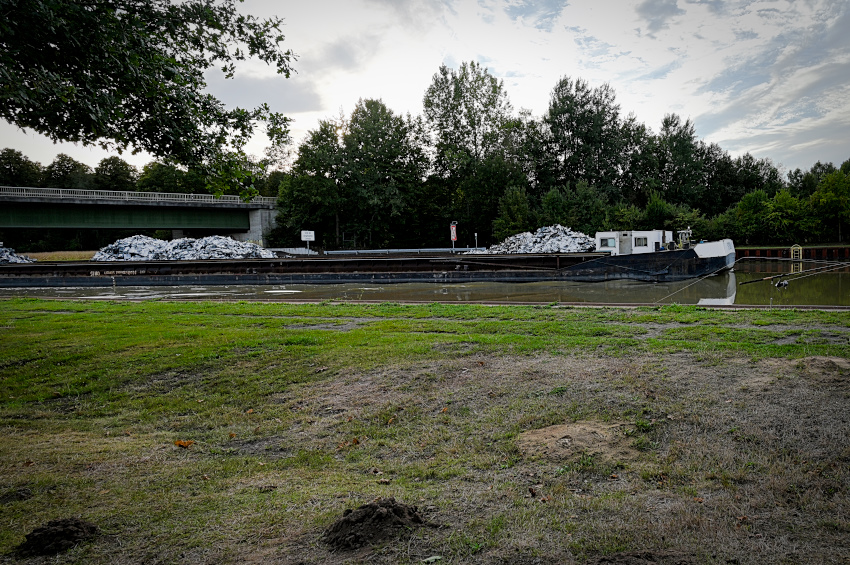 DSC_5437.jpg