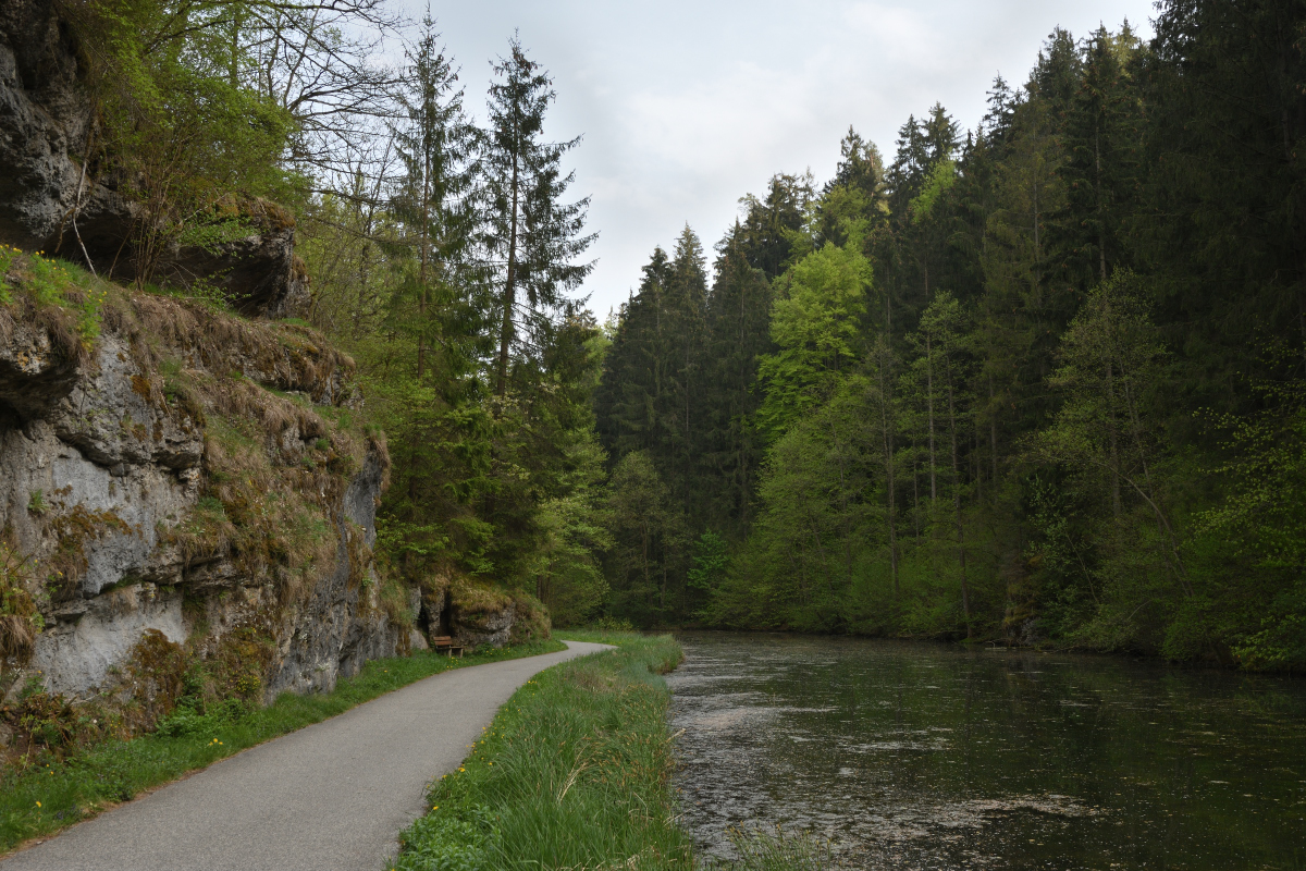 DSC_5448_01.JPG