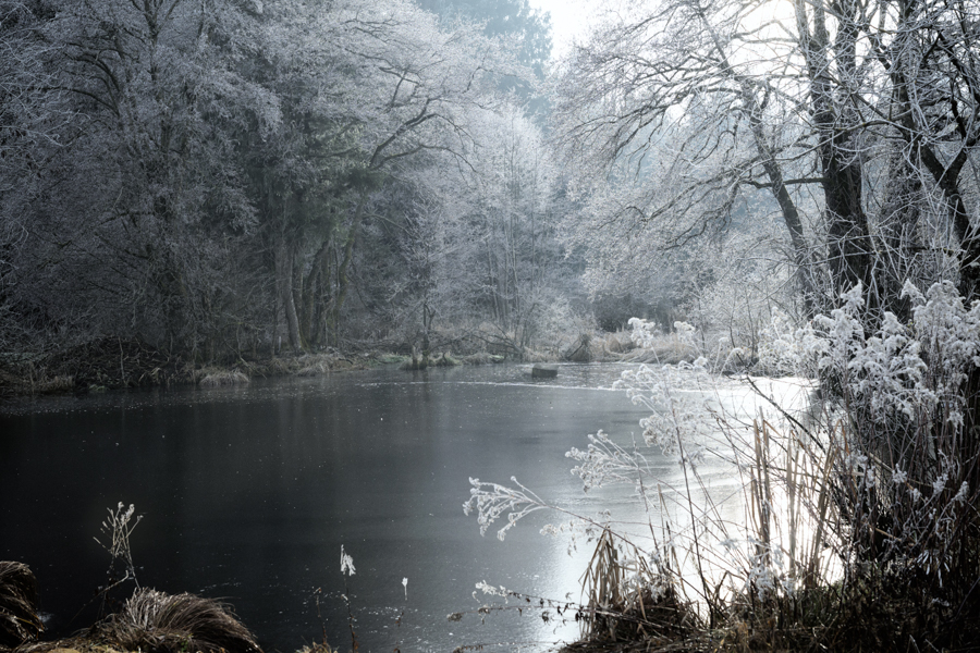 DSC_5462-Bearbeitet.jpg